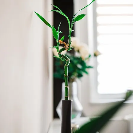 דירה Ah Povazska קושיצה